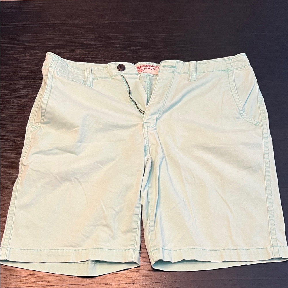 Arizona Jean Company Mint Green Men's Shorts